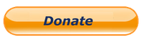 Make a donation to the Ray of Light Fund